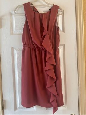 Zara Dusty Rose Ruffle Front Mini Dress